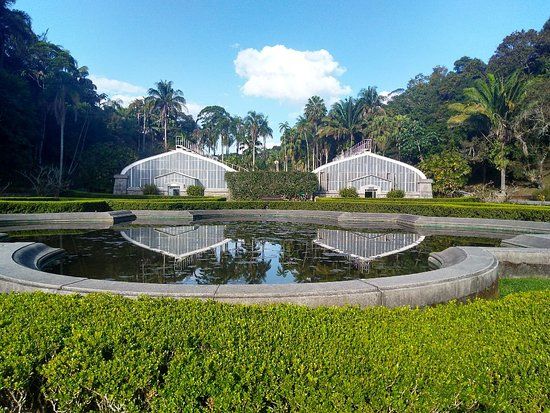 Jardim Botânico de São Paulo